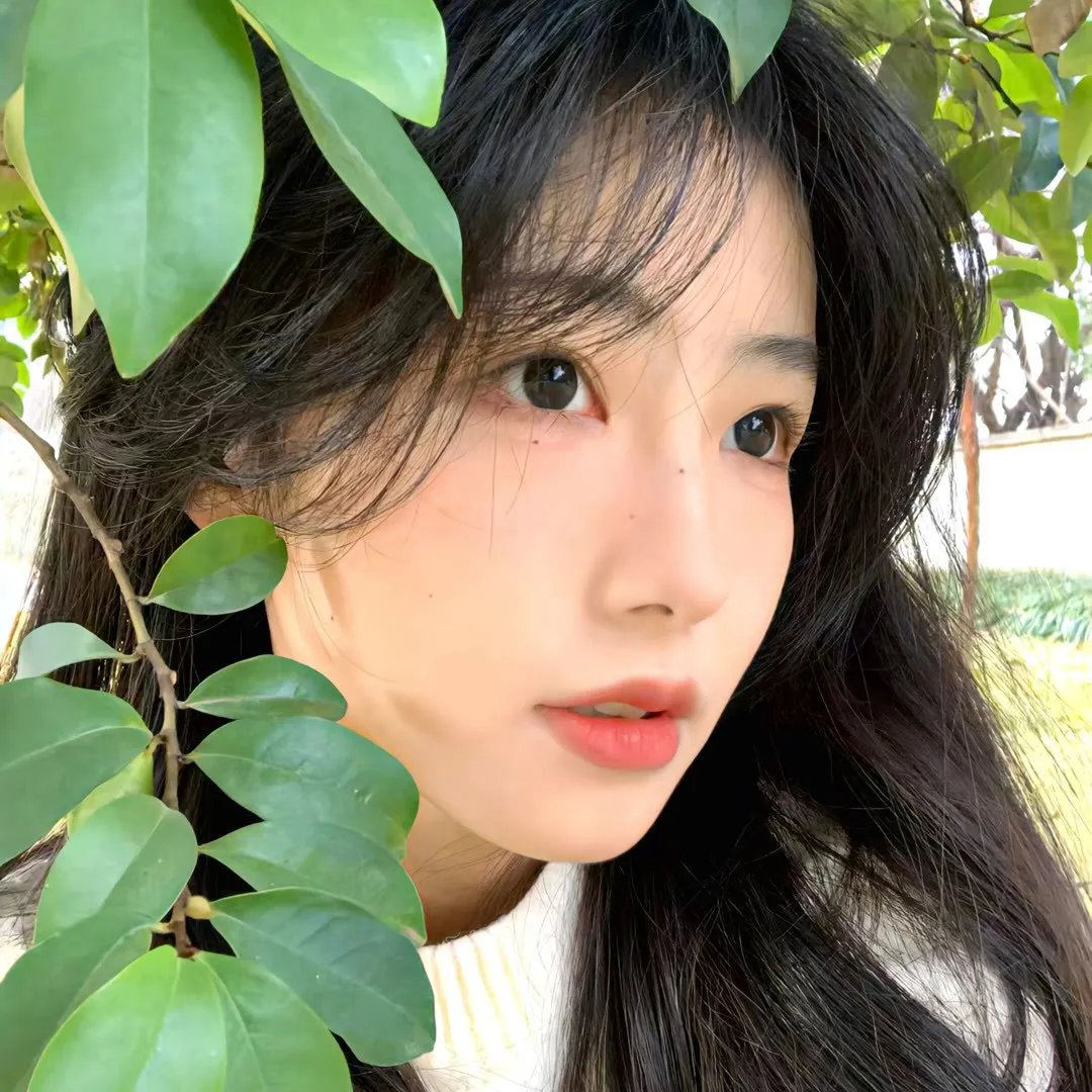 越光宝盒