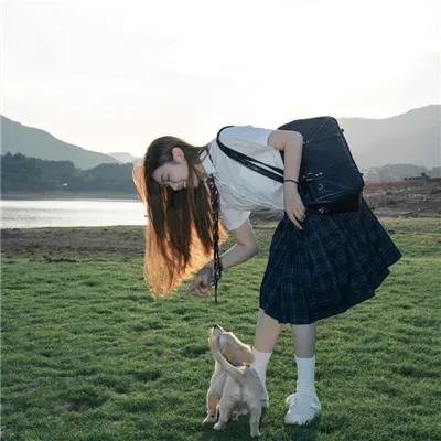 哨兵行动